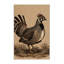  Tapis lavable-778666136