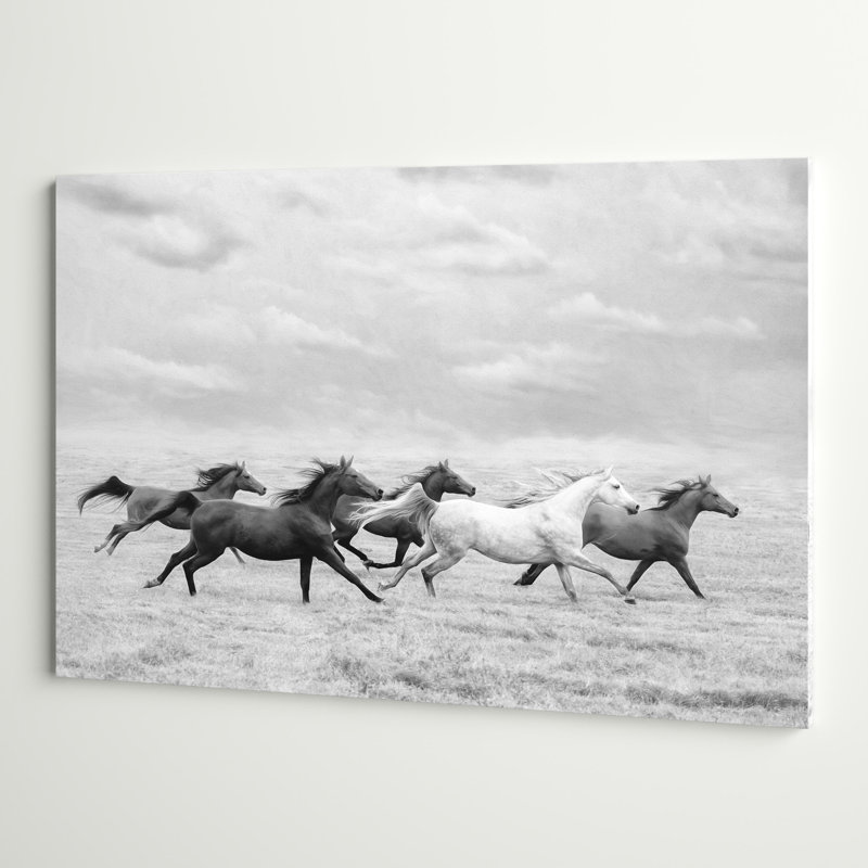 «Horse Run I» par PHBurchett - reproduction d'art sur toile tendue, H 32 po x l 48 po, Toile tendue, Sans cadre