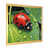 Gold Single Picture Framed