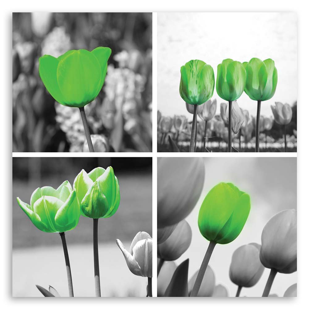 Leinwandbild Set Green Tulips