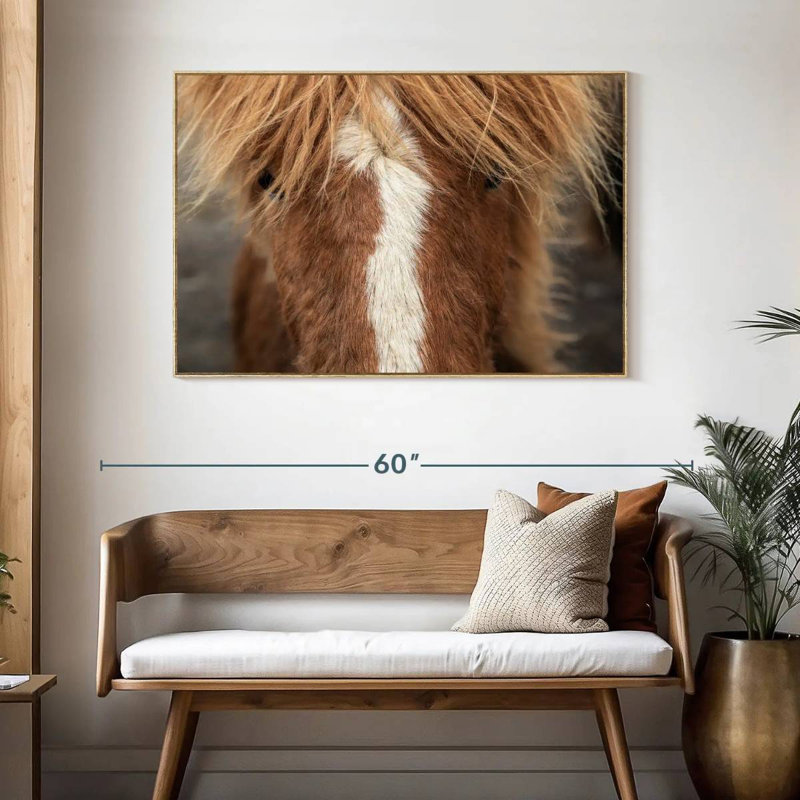 Gros plan d'un cheval Islandais, 46 po x 31 po, Cadre flottant en bois naturel
