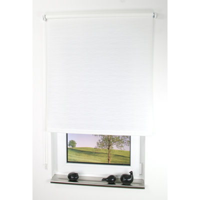 Opaque Roller Shade