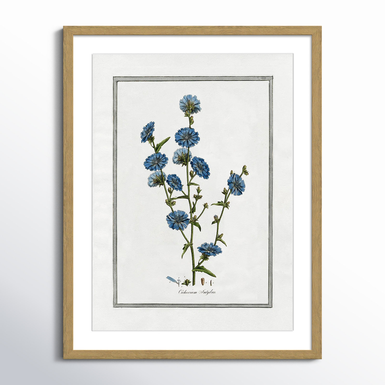 Colombe "Soft Botanical I" Print, 17" W x 23" H, Natural Framed