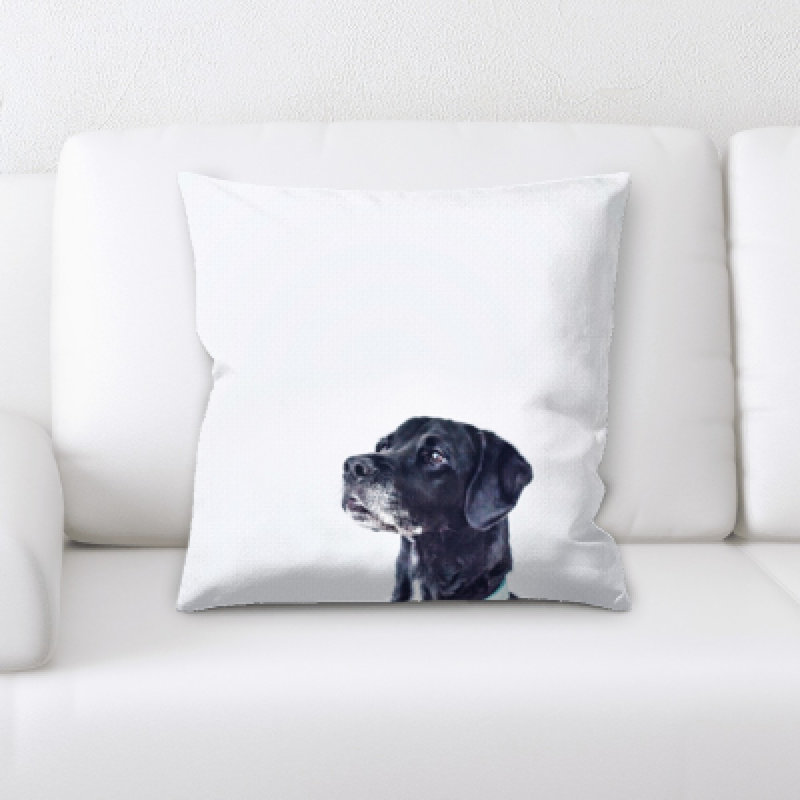 Coussin pour chien