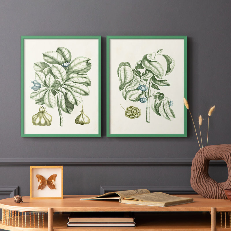 Reproduction encadrée de qualité supérieure Buchoz Tropicals IX - prête à être accrochée, Grey, H 11 po x l 18 po