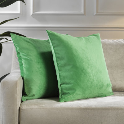 Housse de coussin en velours mat