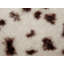 KASRA Beige Cushion-105471295