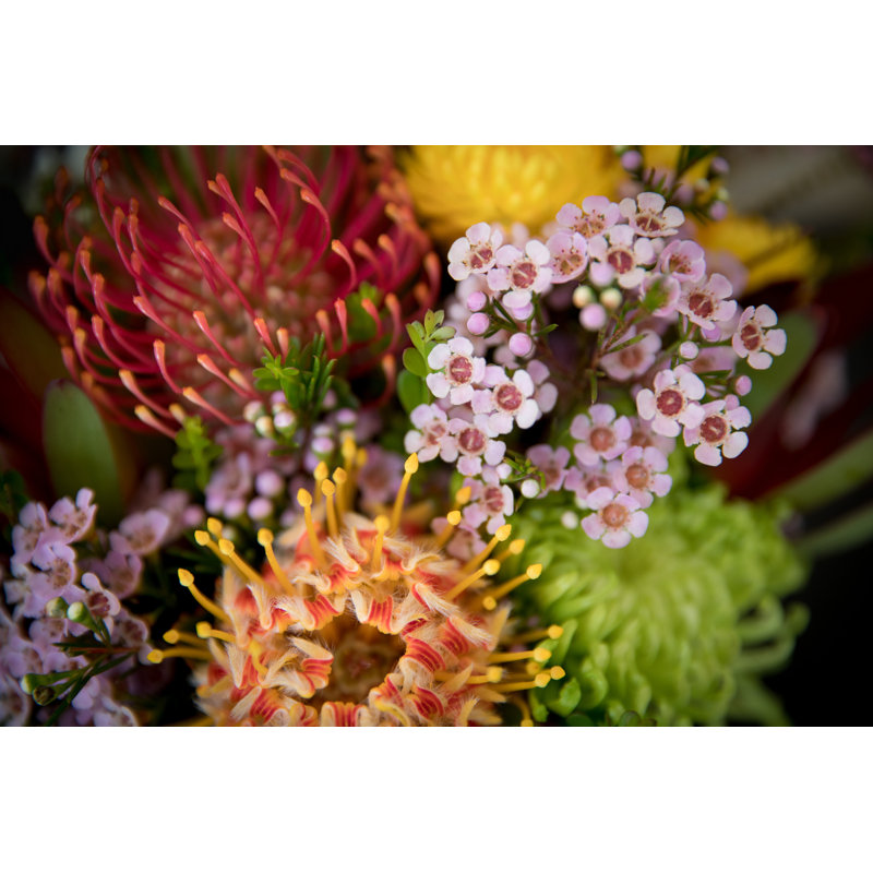 Australian Native Flowers by MarkPiovesan - Wrapped Canvas Print, 30cm H x 46cm W x 3.8cm D