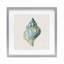 «Coastal Bliss Conch Shell», reproduction sous verre, conception de Danhui Nai-861531090-861531094