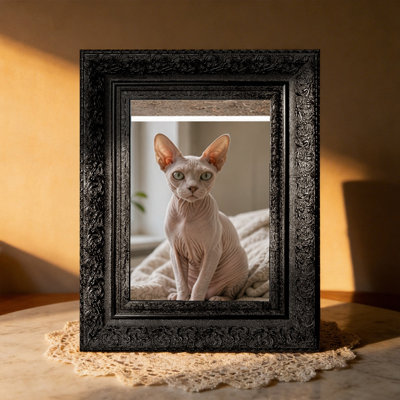 5" x 7" Black 1PC Graduation Picture Frame for Family Photo Display