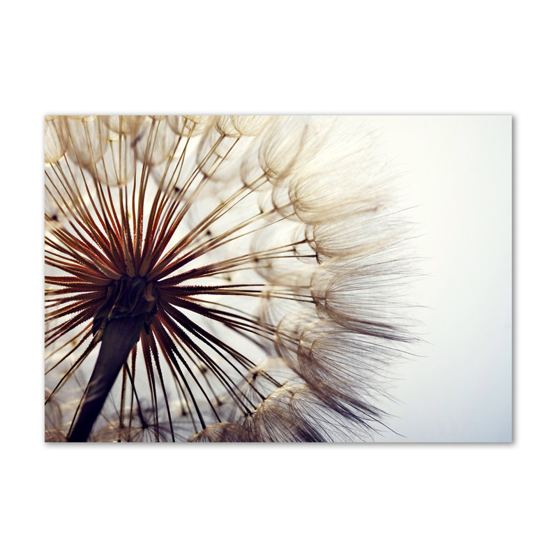 Dandelion - Wrapped Canvas Print