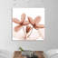 Journey Clematis - Wrapped Canvas Print-2117457744
