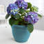 Pot à fleurs intérieur / extérieur Traditional-923313025-927975563