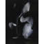 Rise And Shine Print by Usha Shukla-71200941-71200942