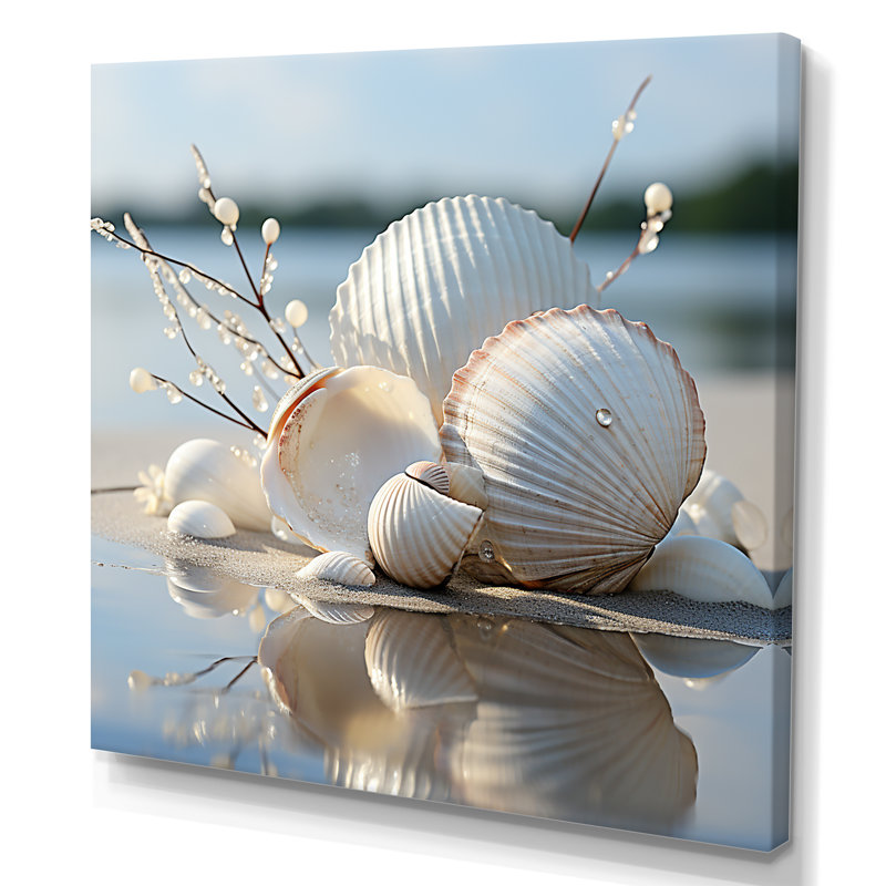Minimal White Seashell Photography - Seashell Canvas Wall Art, Wrapped Canvas, 36" H x 36" W x 1.5" D