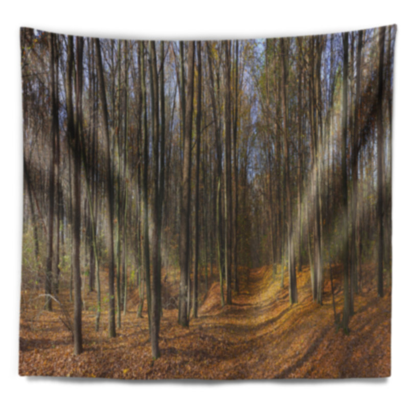 Tapisserie panorama à forêt à chute dense et fixation murale, H 68 po x l 80 po