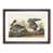 Walnut Framed selected