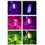 Sukias Plastic Solar Powered Pathway Light Pack