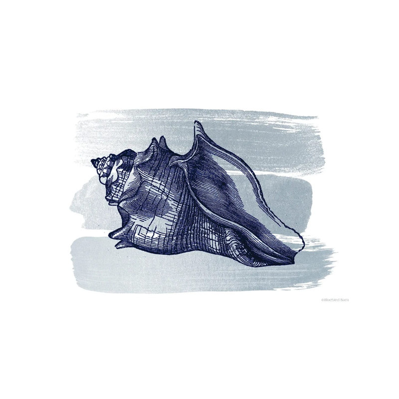 Brushed Midnight Blue Seashell by Bluebird Barn - Print on Canvas, 20.32 cm H x 30.48 cm W, Wrapped Canvas