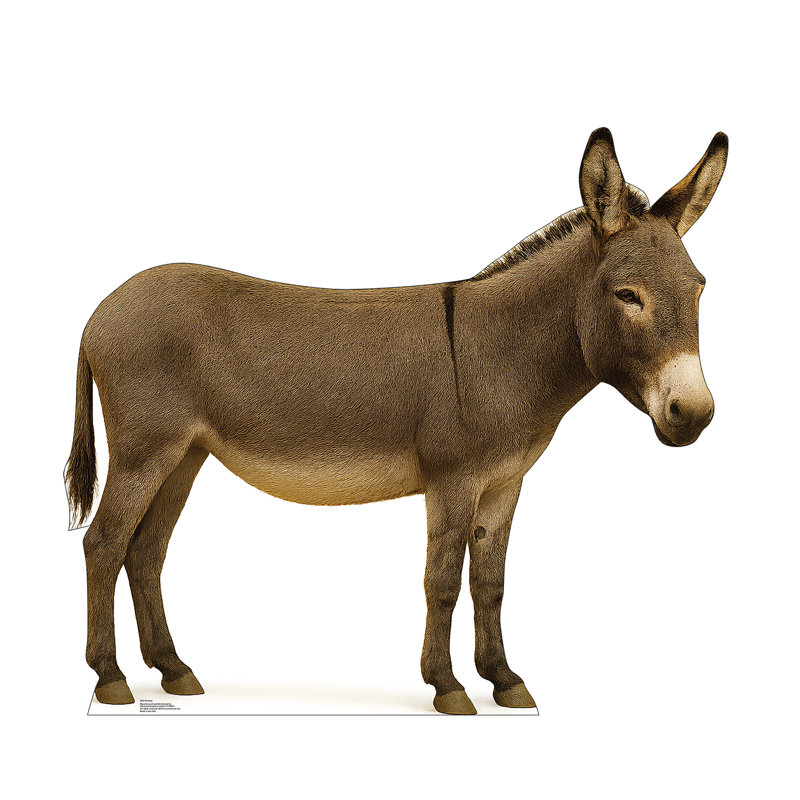 Donkey