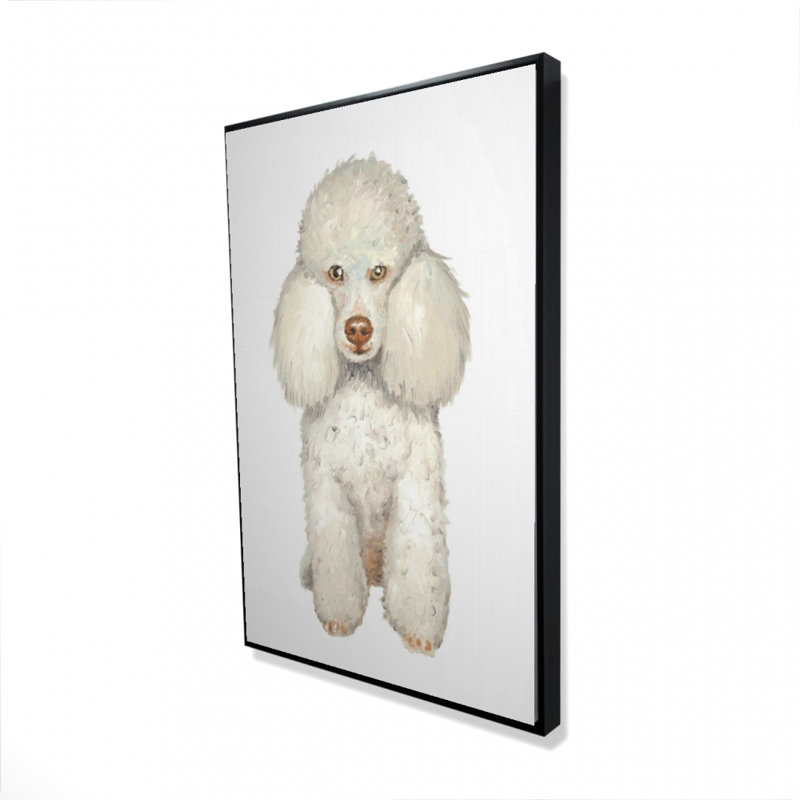 Caniche français, reproduction sur toile