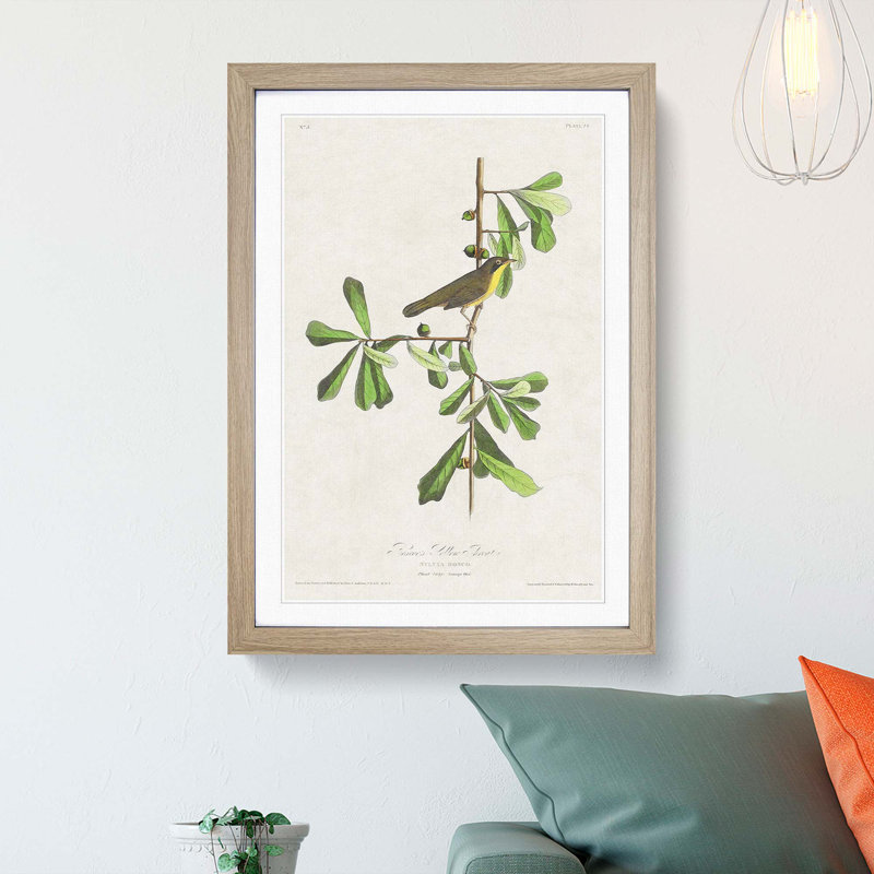 Roscoes Yellow-Throat Bird by John James Audubon - Picture Frame Graphic Art Print, 50cm H x 35cm W x 2cm D, Oak