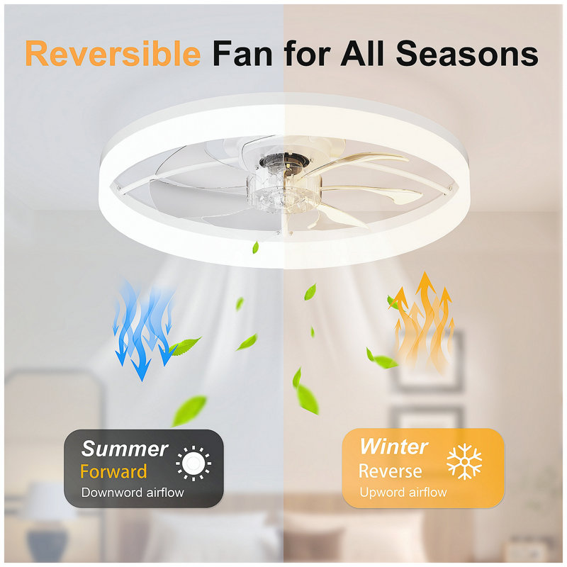 Ventilateur de plafond ultra-mince BLANC avec télécommande et contrôle d'application - Lampe de ventilateur encastrée moderne de 23,6 po, 6 vitesses de ventilateur, luminosité réglable, température de couleur de 3000 K à 6500 K pour le salon de la chambre à coucher
