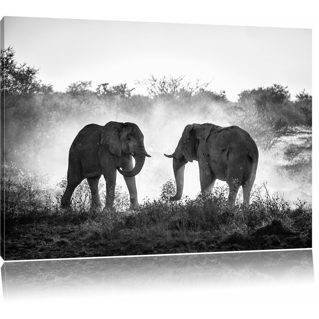 Leinwandbild â€žKÃ¤mpfende Elefantenâ€œ, Fotodruck