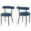Chaise de salle à manger (ensemble de 2)