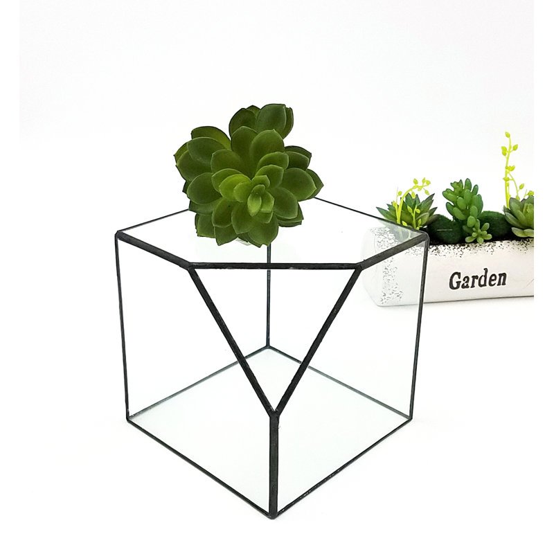 Northcutt Glass Indoor Terrarium