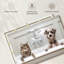 Bain de luxe pour animaux-1586666237