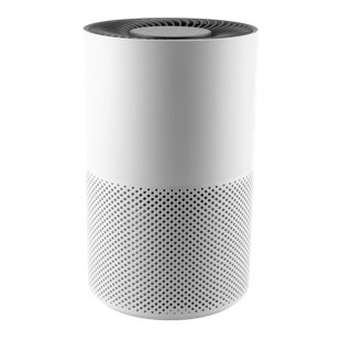 Quietpure H13 HEPA Air Purifier, 233 Sq. Ft. Coverage With Carbon Filter