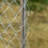 71.75'' H Panel Metal Exercise Pen With Door
