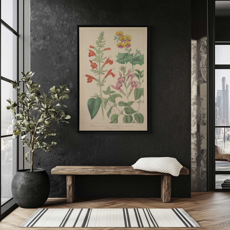 Salvia Florals I, reproduction d'art sur toile, H 18 po x l 12 po, Cadre flottant, Noir