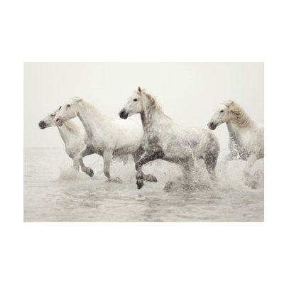 Escape Print by Irene Suchocki