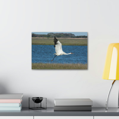 No Frame Print on Canvas
