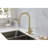 Red Cloud Pull Down Kitchen Faucet