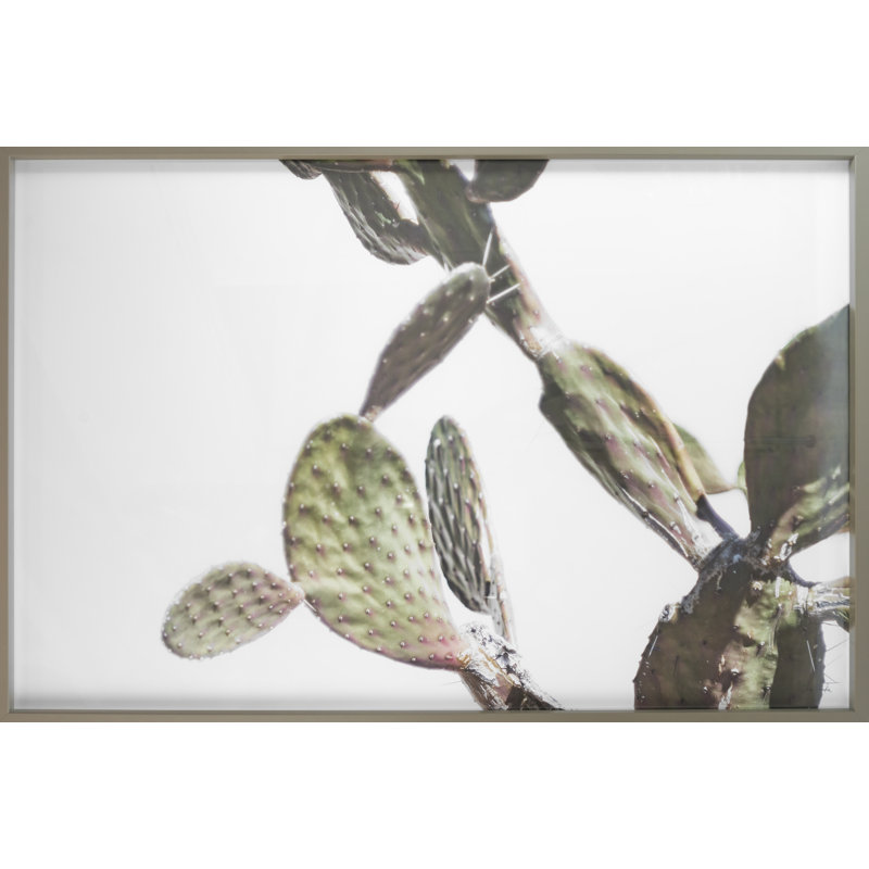 Az Botanical 40 par Chris Dunker - Photographie encadrée sur papier, H 29 po x l 43 po