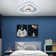 Deanah Ceiling Fan with Light Modern Dimmable Ceiling Fans with Remote