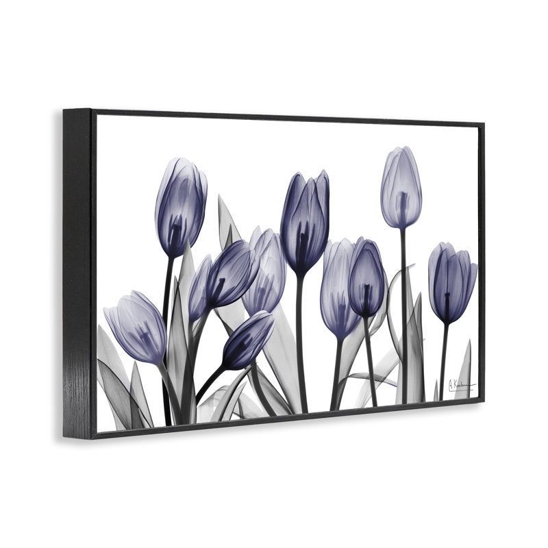 «Dramatic Dusk Blue Tulip Art» par Albert Koetsier, H 12 po x l 18 po, Giclée encadrée noir minuit
