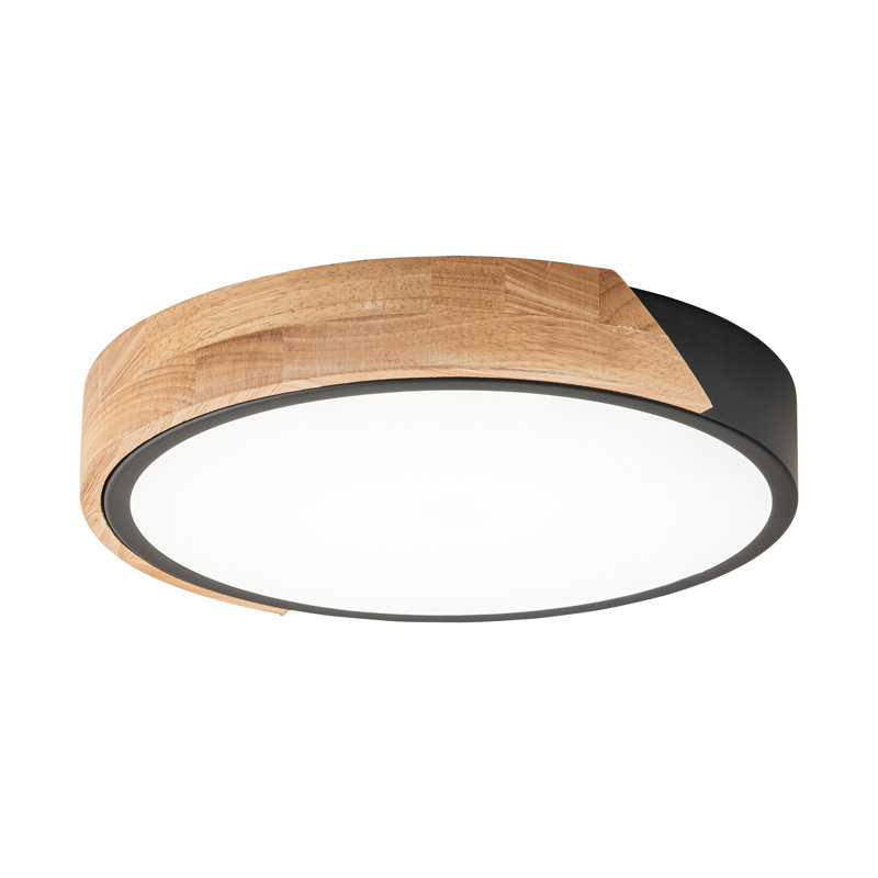 Beezie Acrylic LED Flush Mount