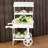 Quenby Wooden Flower Cart Plant Stand - 33.75" x 21.75" x 49.25" - White-1317562899