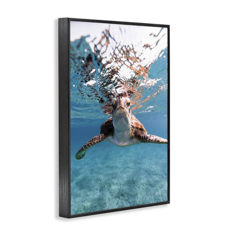 «Hello Sea Turtle Splash», estampe numérique par Max Blakesberg Studios, H 30 po x l 20 po, Cadre noir