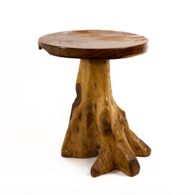 Burruss Solid Wood Tree Stump End Table