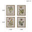 Botanical Illustration Canvas 4 - Décoration murale en lin pour 4 maisons d'art