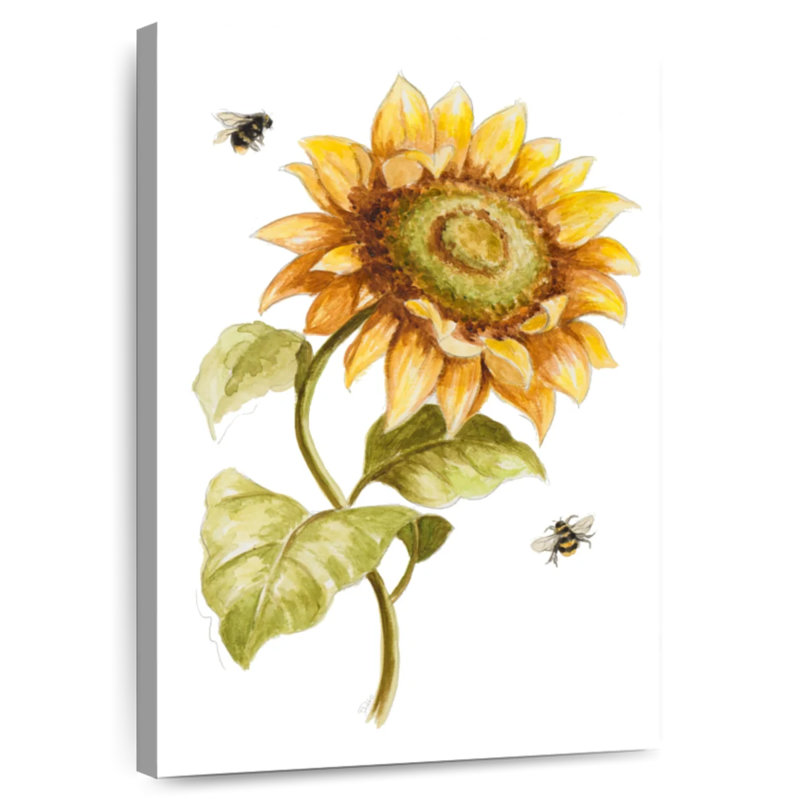 Tournesol Harnek Harvest Gold II, H 45 po x l 30 po