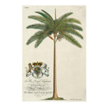 King Palm Print by Porter Design
