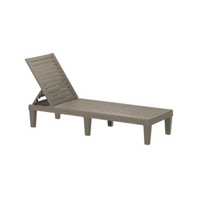 Outdoor Chaise Lounge by Latitude Run