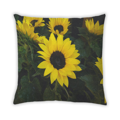 Coussin 9 couleurs Color Focus