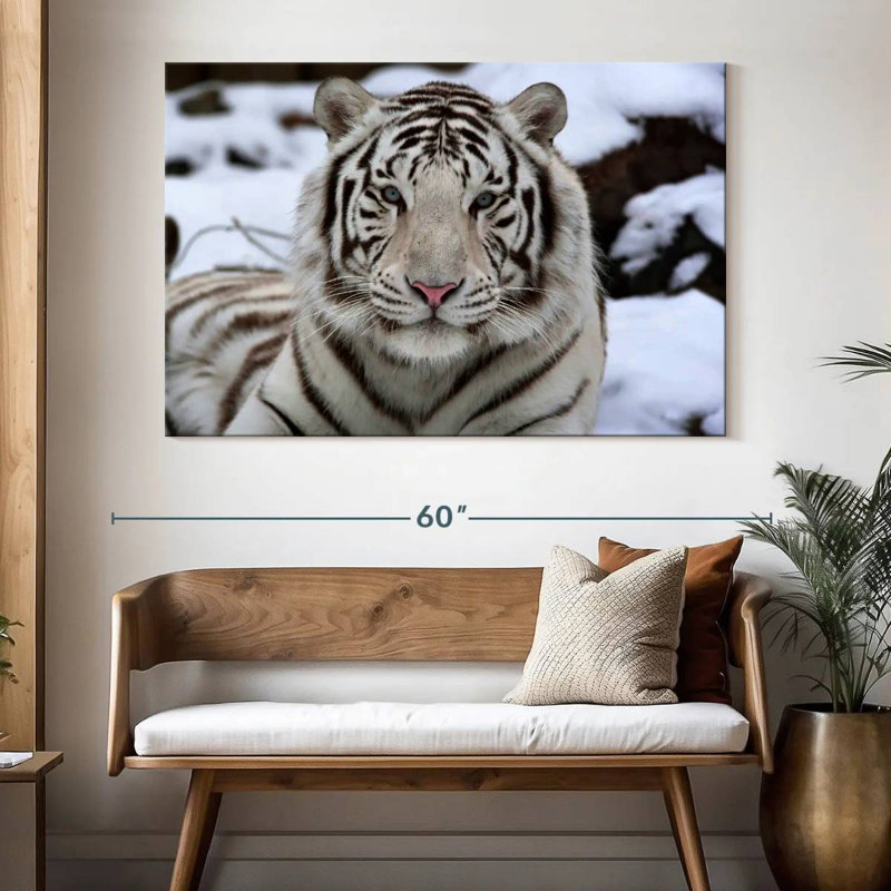 Brampt Glorious White Tiger, 34" H x 51" W